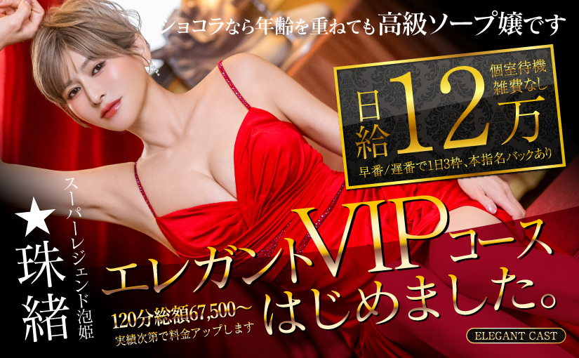 エレガントVIPコースはじめました